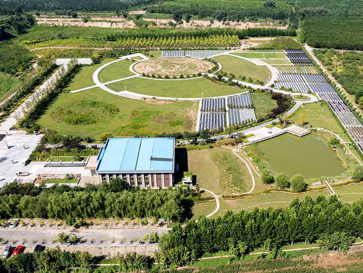 施孝生态陵园绿化